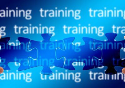 我國資安人才發展藍圖